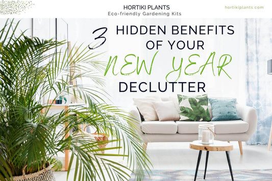 3 Hidden Benefits of Your New Year Declutter