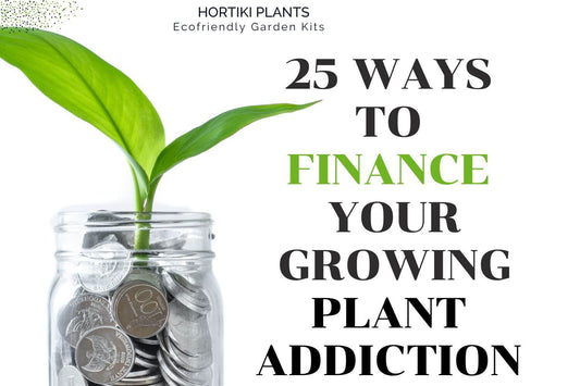 Plant growing from jar of coins. 25 ways to finance your growing plant addiction.
