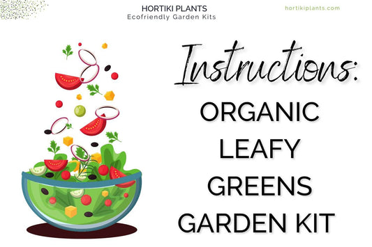 Leafy Green Garden Kit Instructions