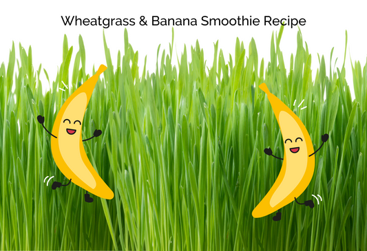 Wheatgrass & Banana Smoothie Recipe