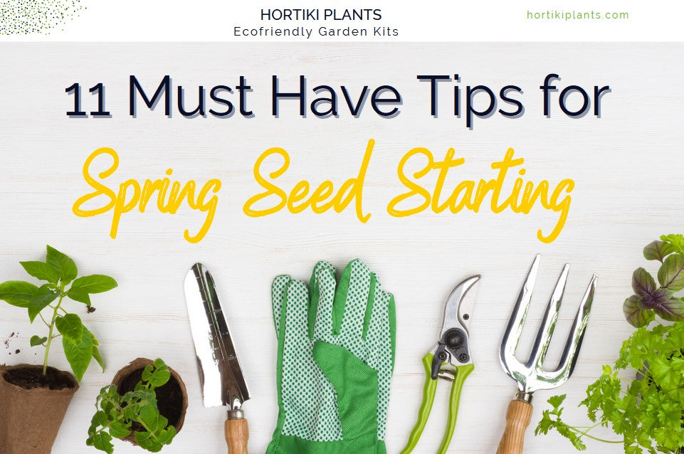 Seed Shopping Tips, What to Know Before You Buy