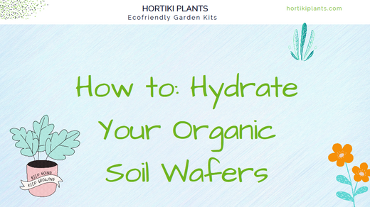 Soil Wafer Hydration Demo