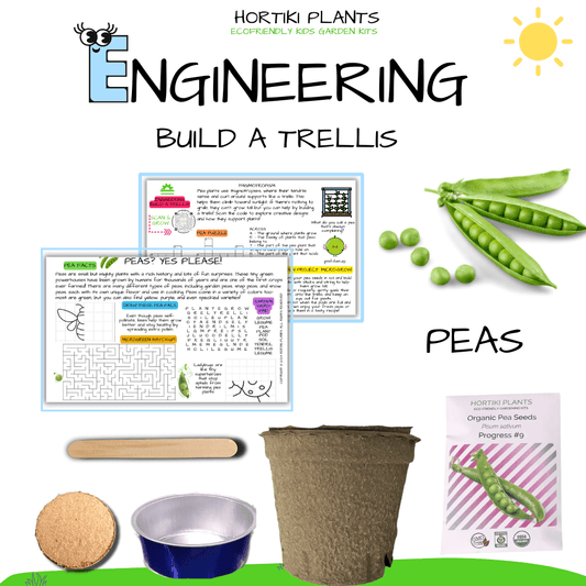 Peas Card + Grow Kit (Egineering - STEAM Series)