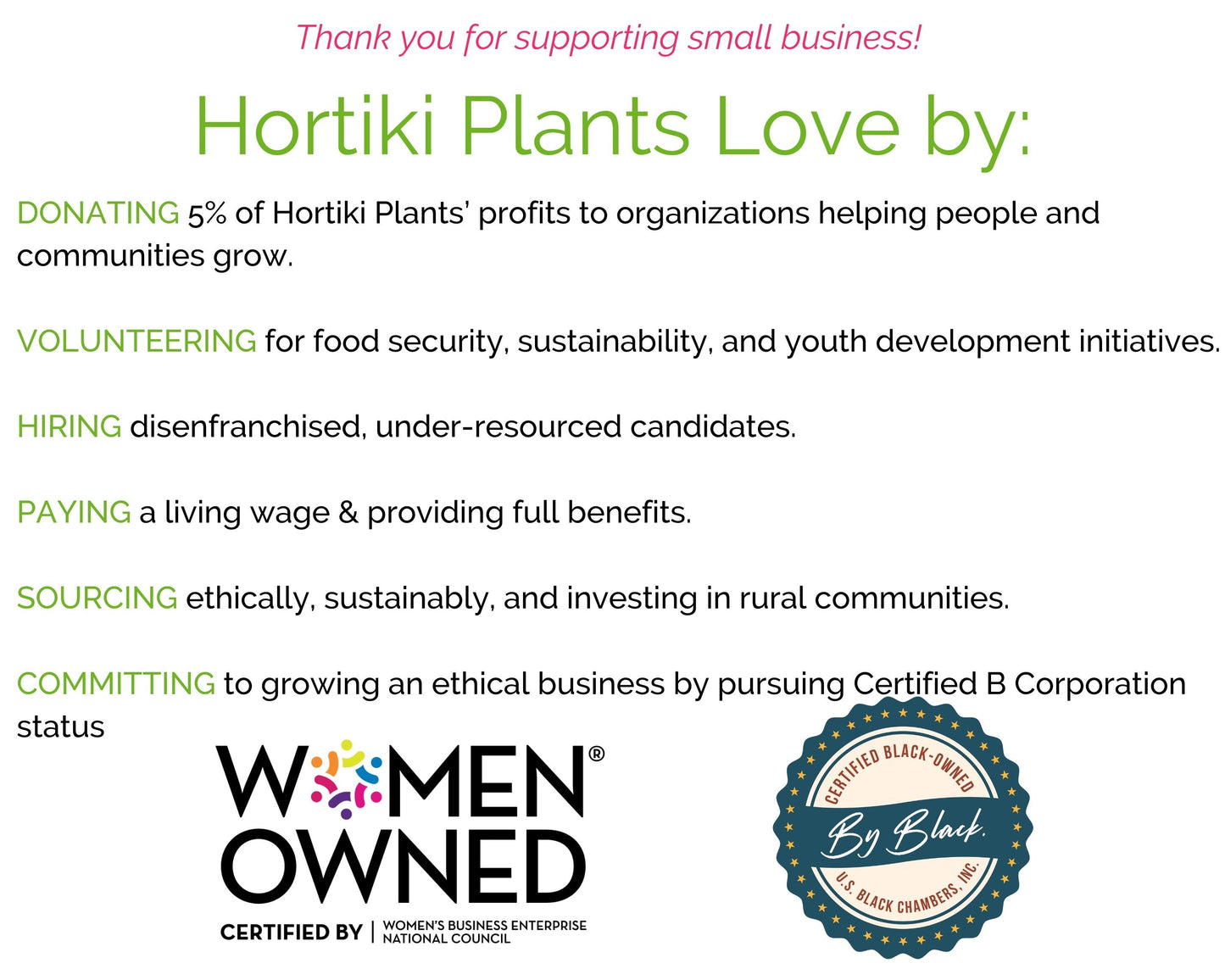 Organic Leafy Greens Starter Kit - Corporate Gift