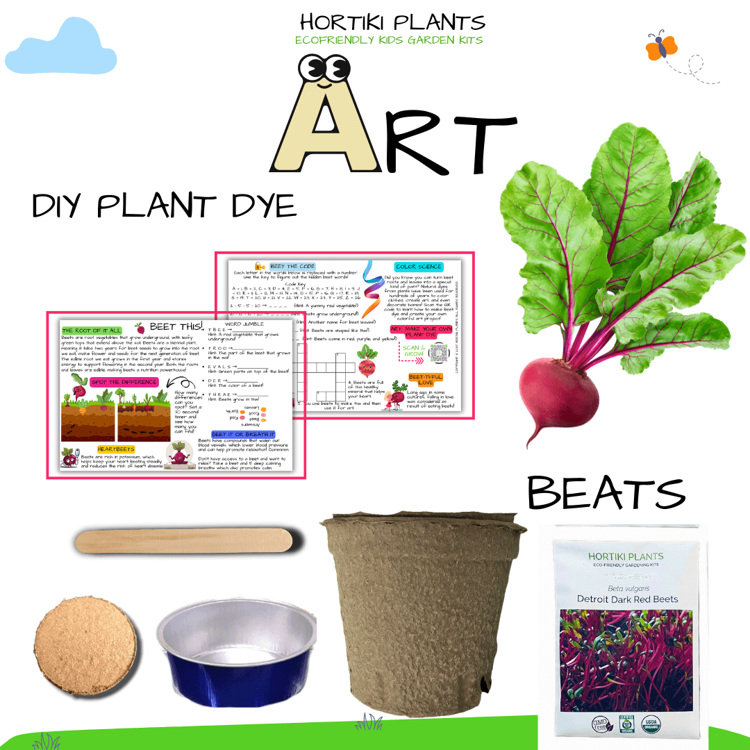 Beets Card + Grow Kit (Art -STEAM Series)