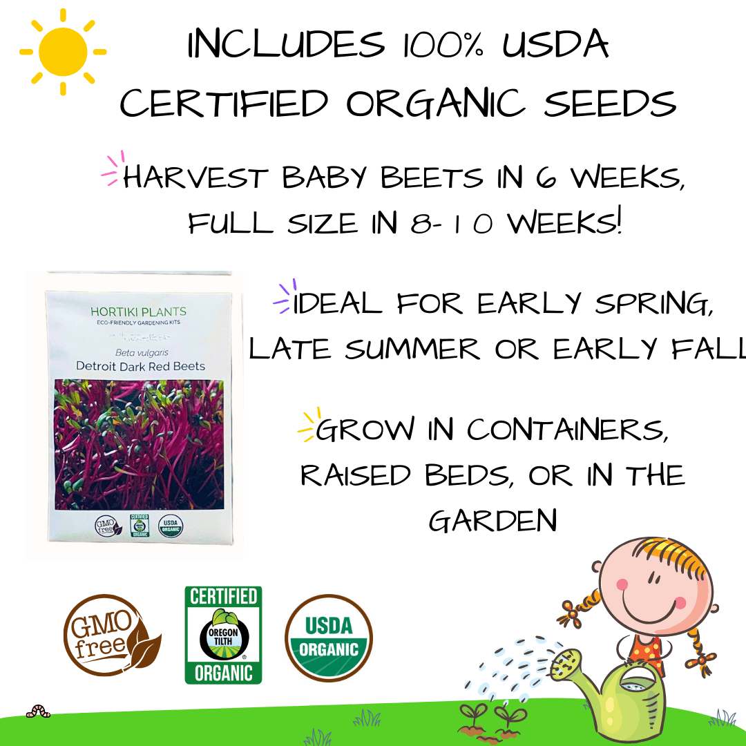 Beets STEAM Activity Seed Card