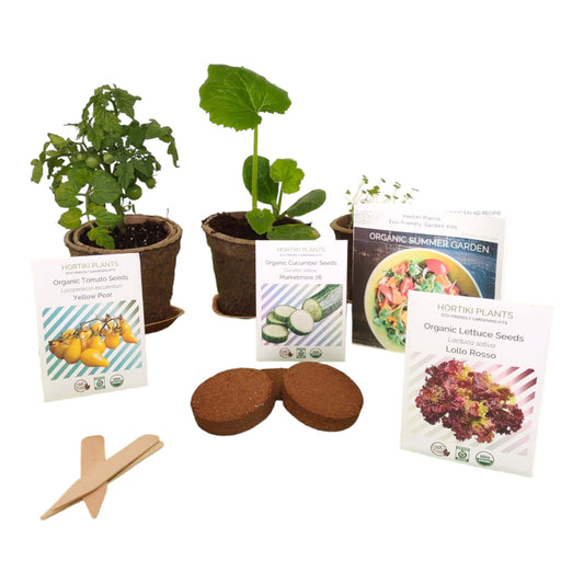 Organic Summer Garden Kit. Lettuce, Cucumber, Tomato Seed Starting Kit.