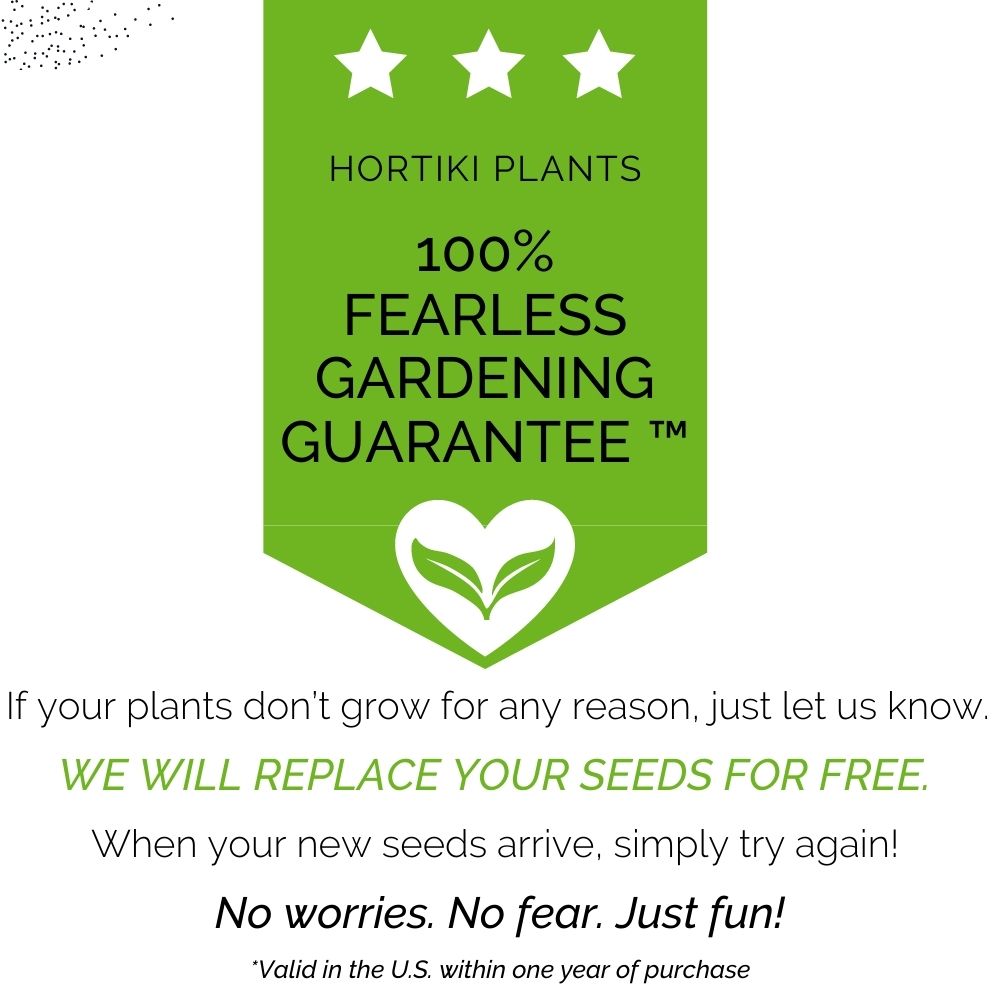 Organic Beets Garden Kit - Corporate Gift