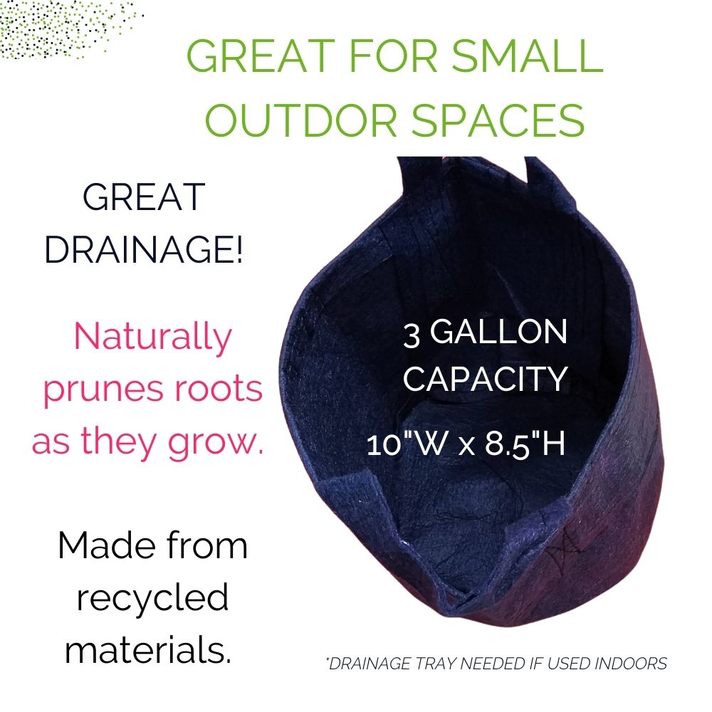 Organic Beets Garden Kit - Corporate Gift