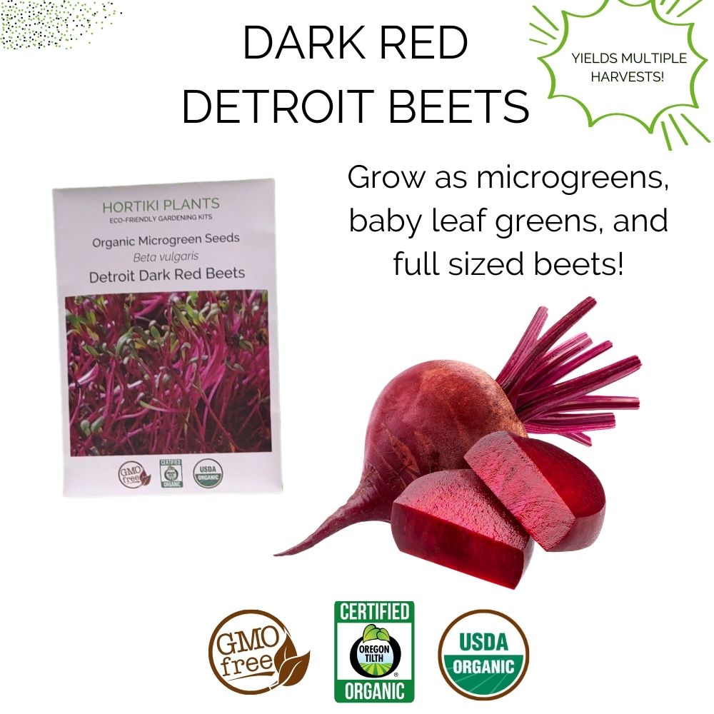 Organic Beets Garden Kit - Corporate Gift