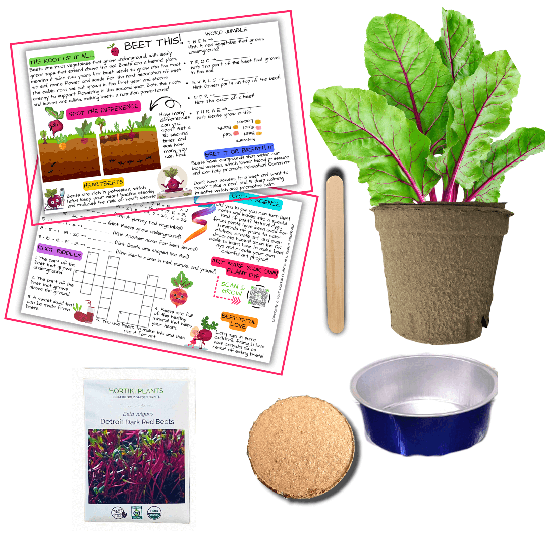 Beets Card + Grow Kit (Art -STEAM Series)