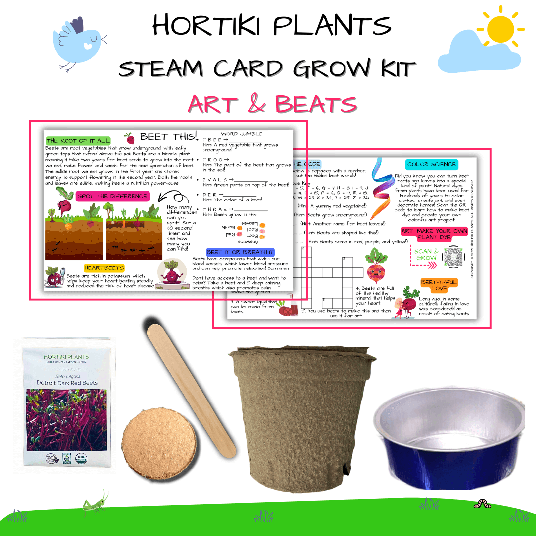 Beets Card + Grow Kit (Art -STEAM Series)