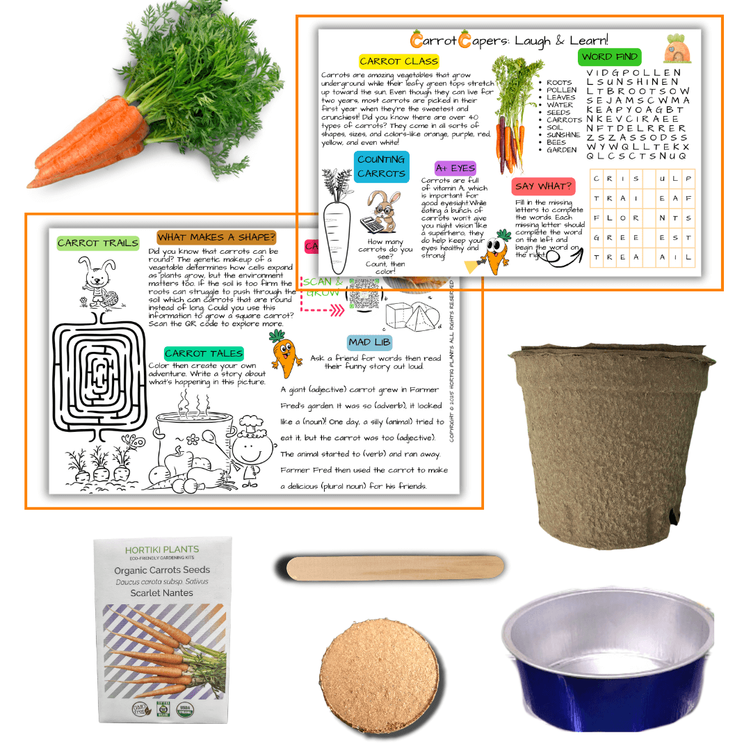 Carrots Card + Grow Kit (Math -STEAM Series)