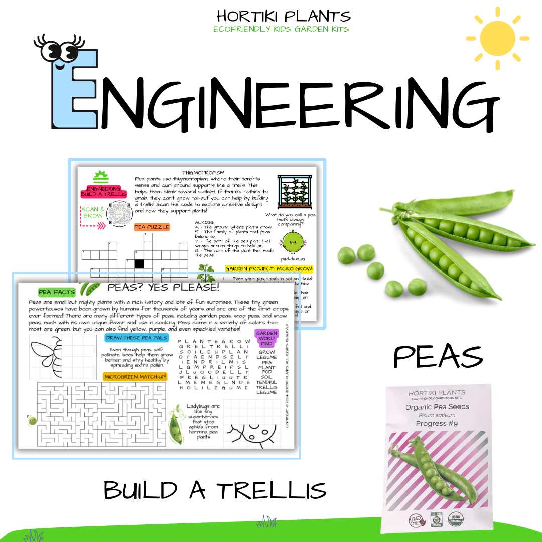 šæ Kids Garden Peas STEAM Activity Seed Cards