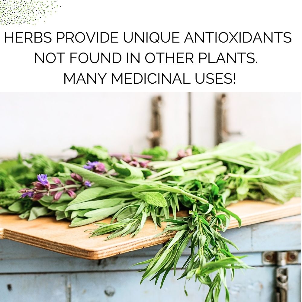 Organic Kitchen Herb Garden Kit - Corporate Gift