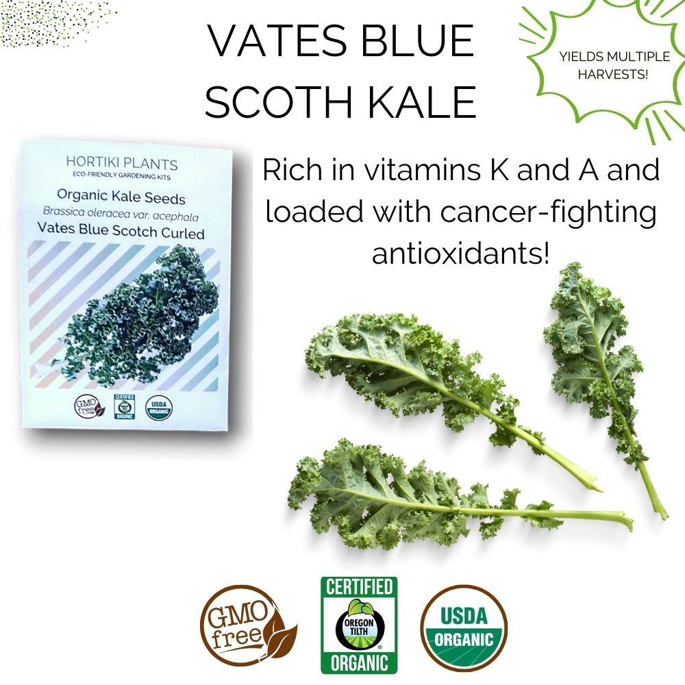Organic Kale Container Garden Kit - Corporate Gift