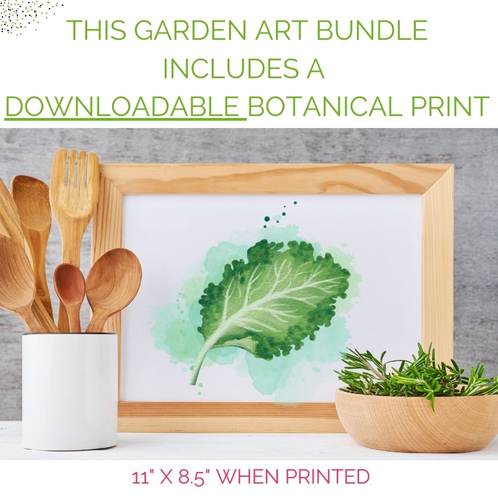 Organic Kale Container Garden Kit - Corporate Gift