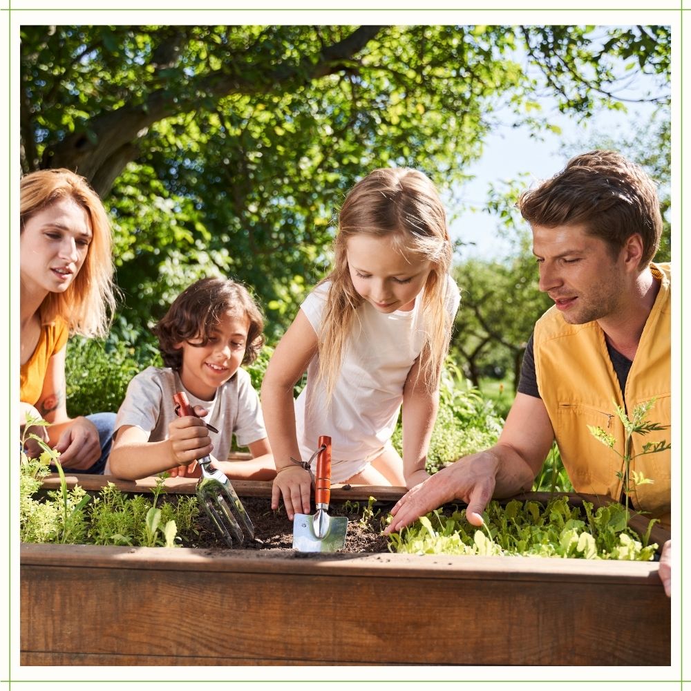 Kids Organic Garden Kit (MultiOrder Discount) - Lettuce Tomato Cucumber