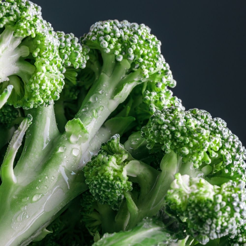 Kids Organic Garden Kit - Broccoli Carrot Pea