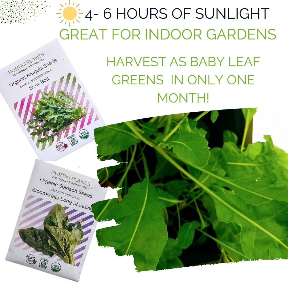 Organic Leafy Greens Starter Kit - Corporate Gift