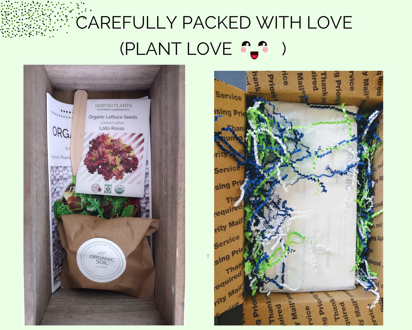 Organic Lettuce Garden Kit