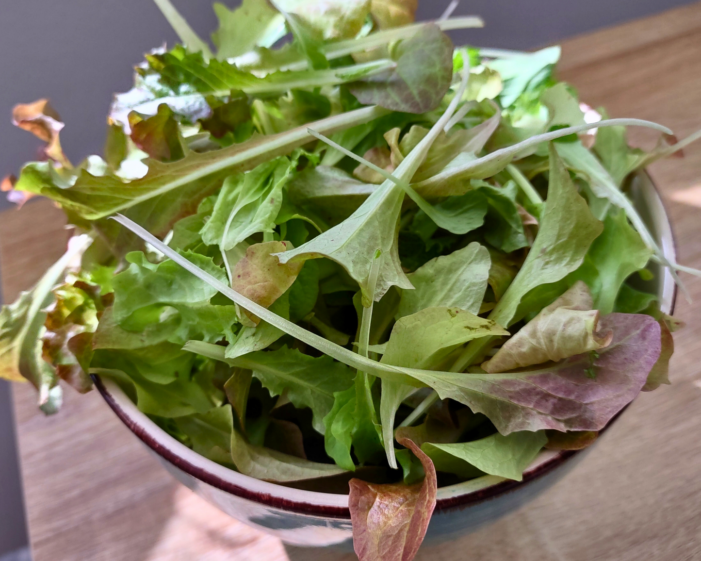 Organic Lettuce Garden Kit - Corporate Gift