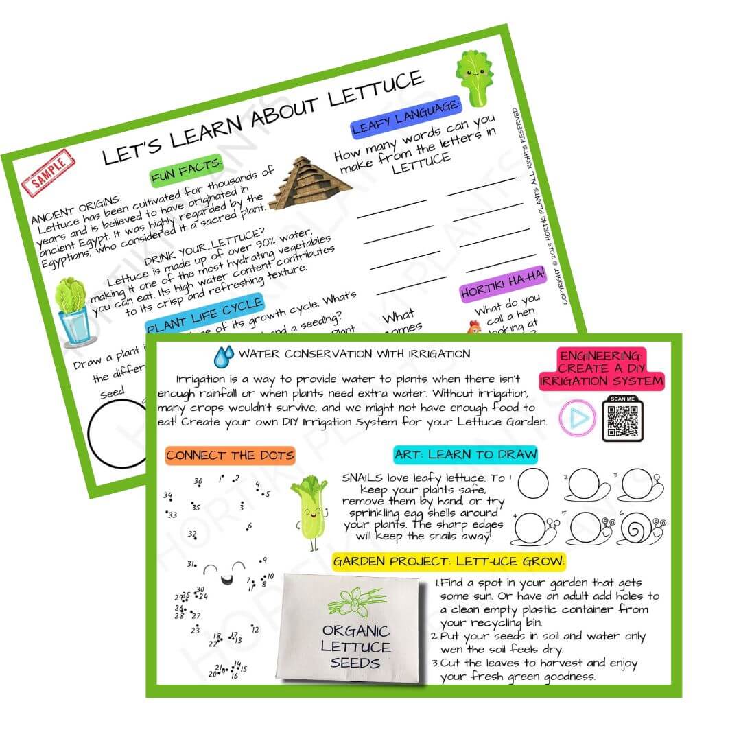 š„¬Kids Garden Lettuce STEAM Activity Seed Card