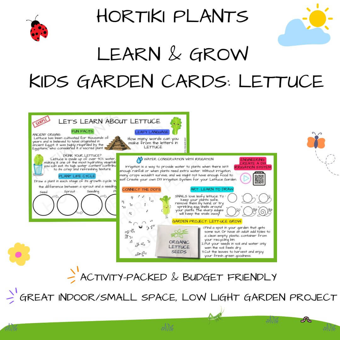 š„¬Kids Garden Lettuce STEAM Activity Seed Card