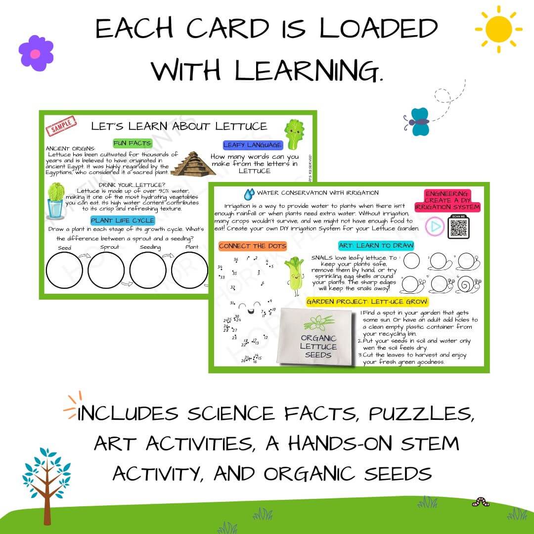 š„¬Kids Garden Lettuce STEAM Activity Seed Card