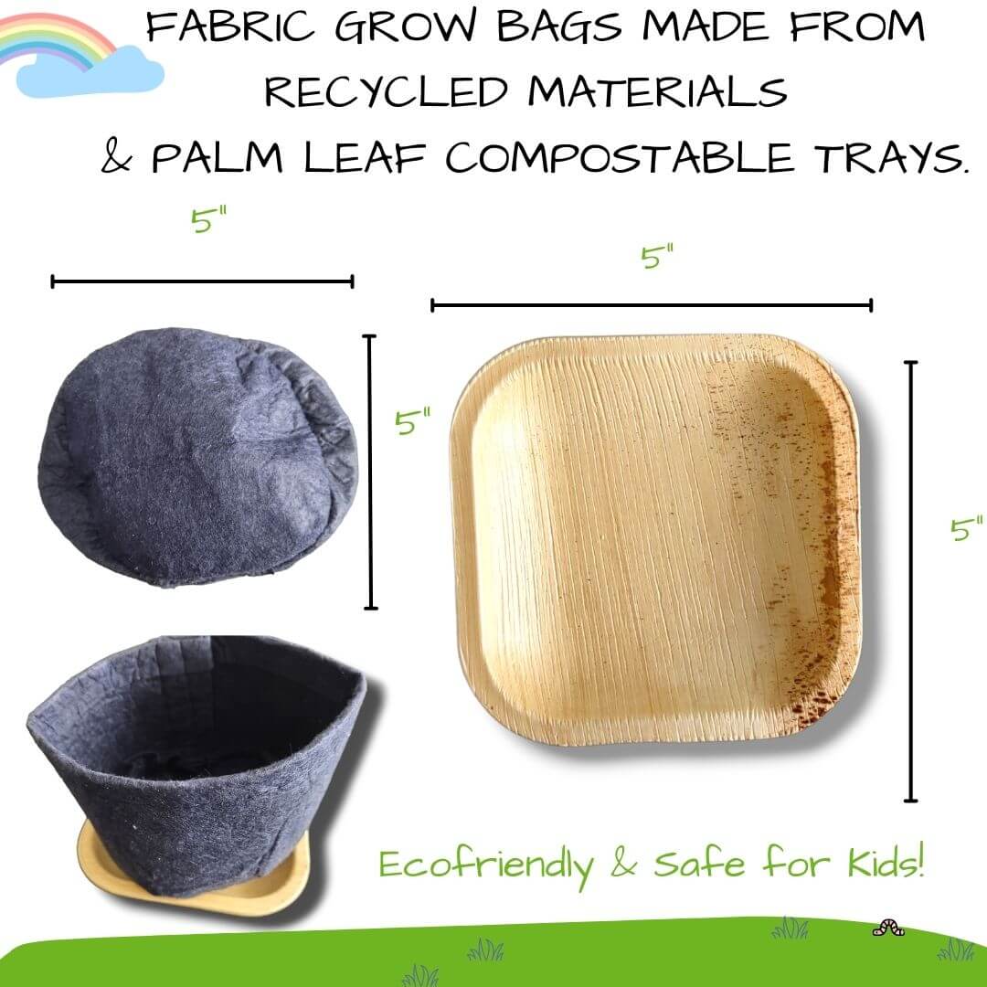✨NEW! Hortiki Plants Kids Garden Card + Grow Kit: Lettuce