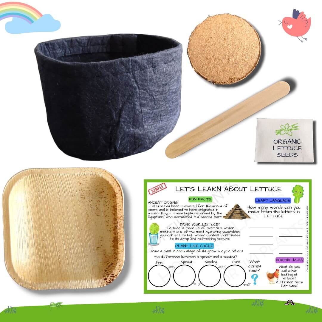 ✨NEW! Hortiki Plants Kids Garden Card + Grow Kit: Lettuce