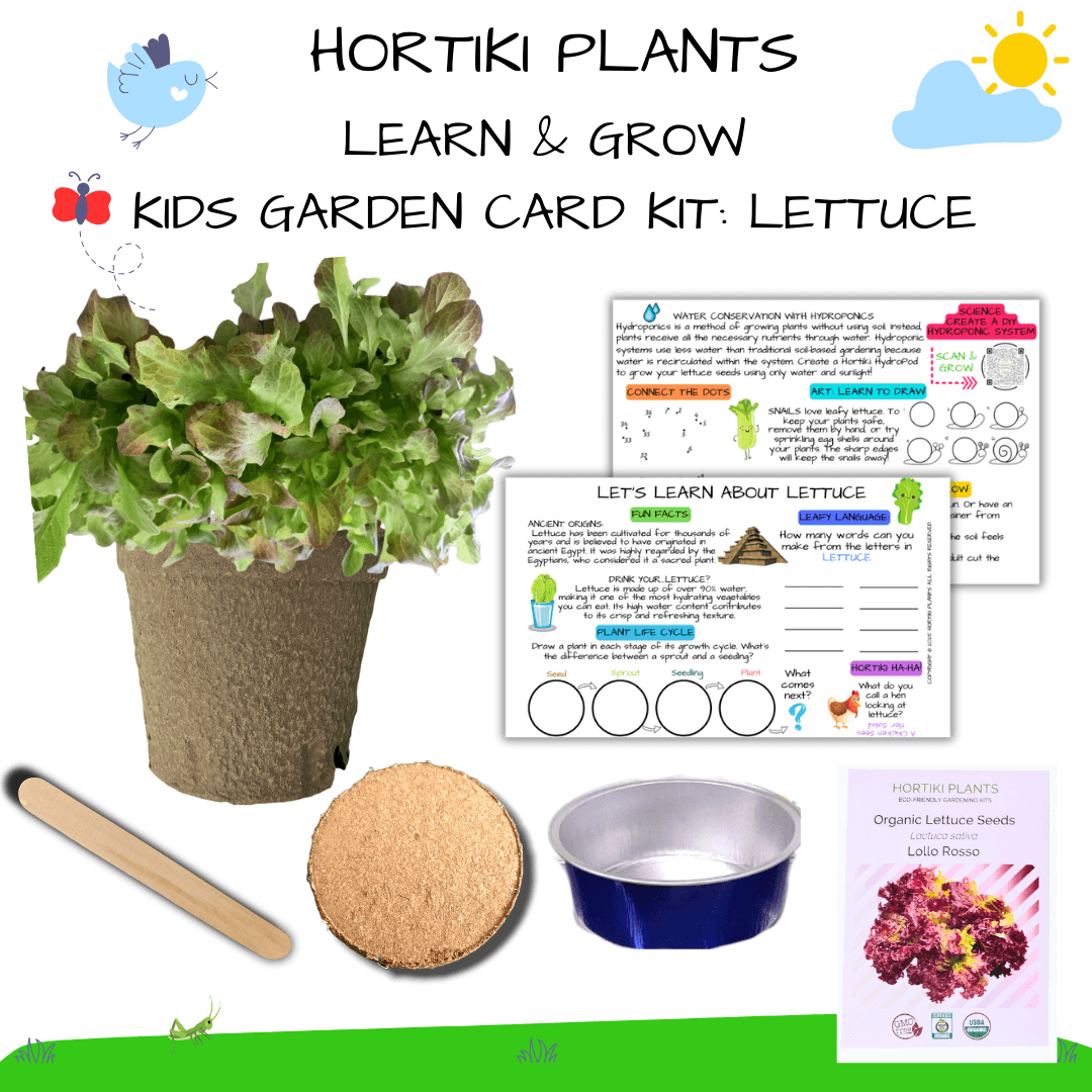 ✨NEW! Hortiki Plants Kids Garden Card + Grow Kit: Lettuce