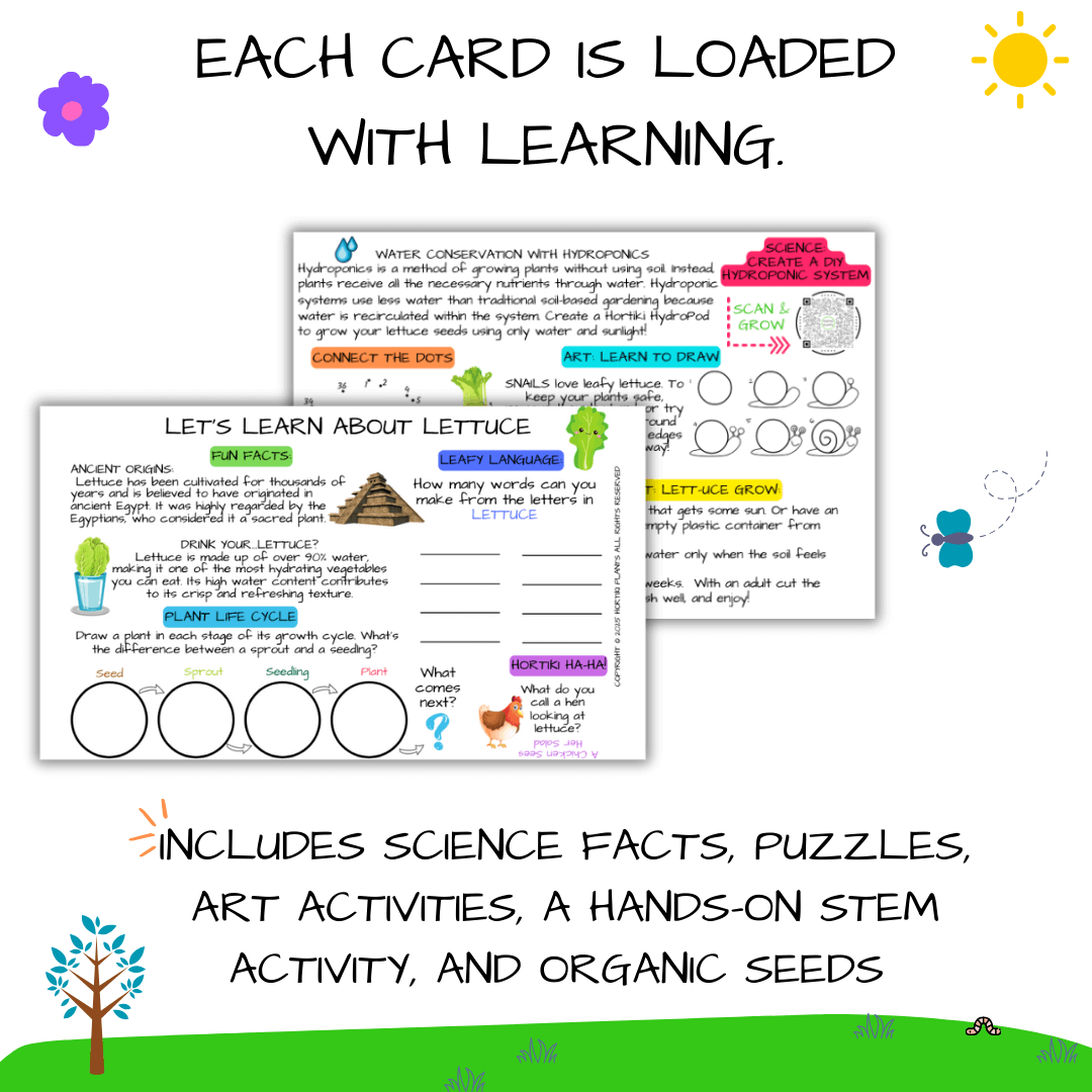 ✨NEW! Hortiki Plants Kids Garden Card + Grow Kit: Lettuce