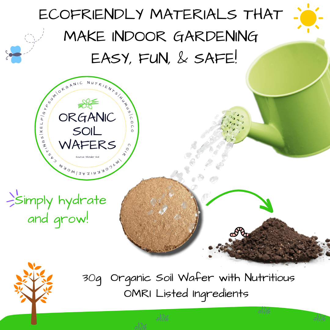 Carrots Card + Grow Kit (Math -STEAM Series)
