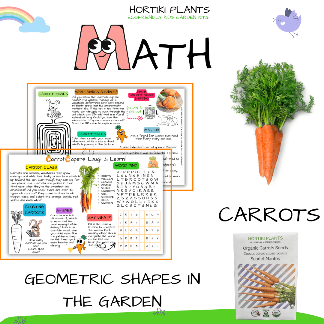 š„Carrots STEAM Activity Seed Card