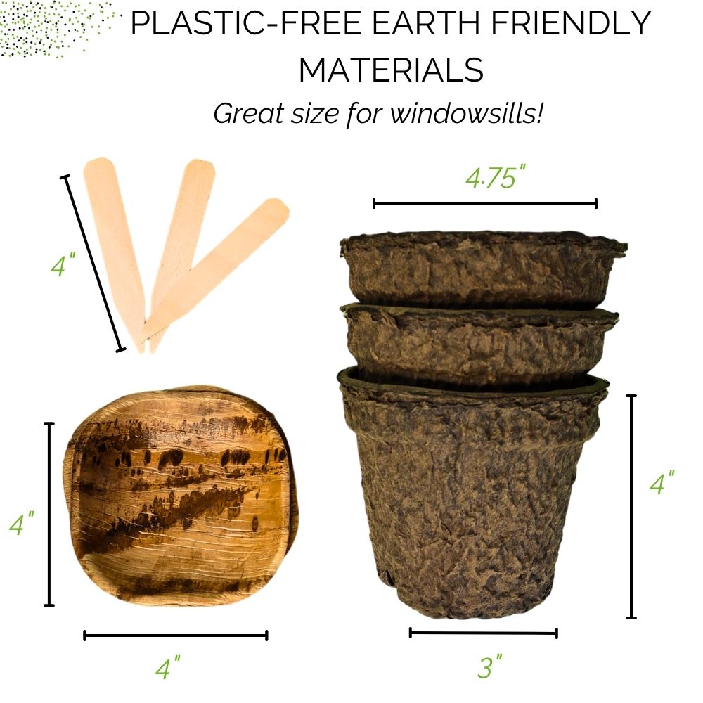 Organic Microgreens Container Garden Kit - Corporate Gift
