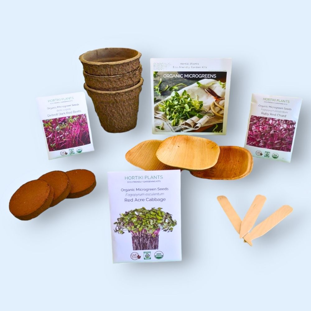 Organic Microgreens Container Garden Kit - Corporate Gift