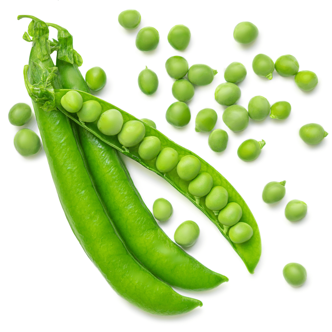 šæ Kids Garden Peas STEAM Activity Seed Cards