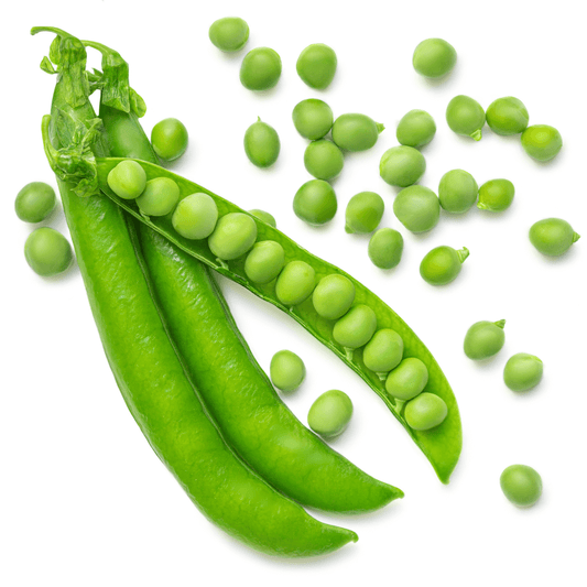 🌿 Kids Garden Peas STEAM Activity Seed Cards