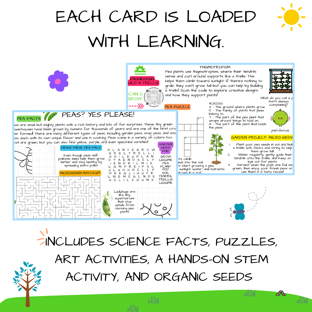 Peas Card + Grow Kit (Egineering - STEAM Series)