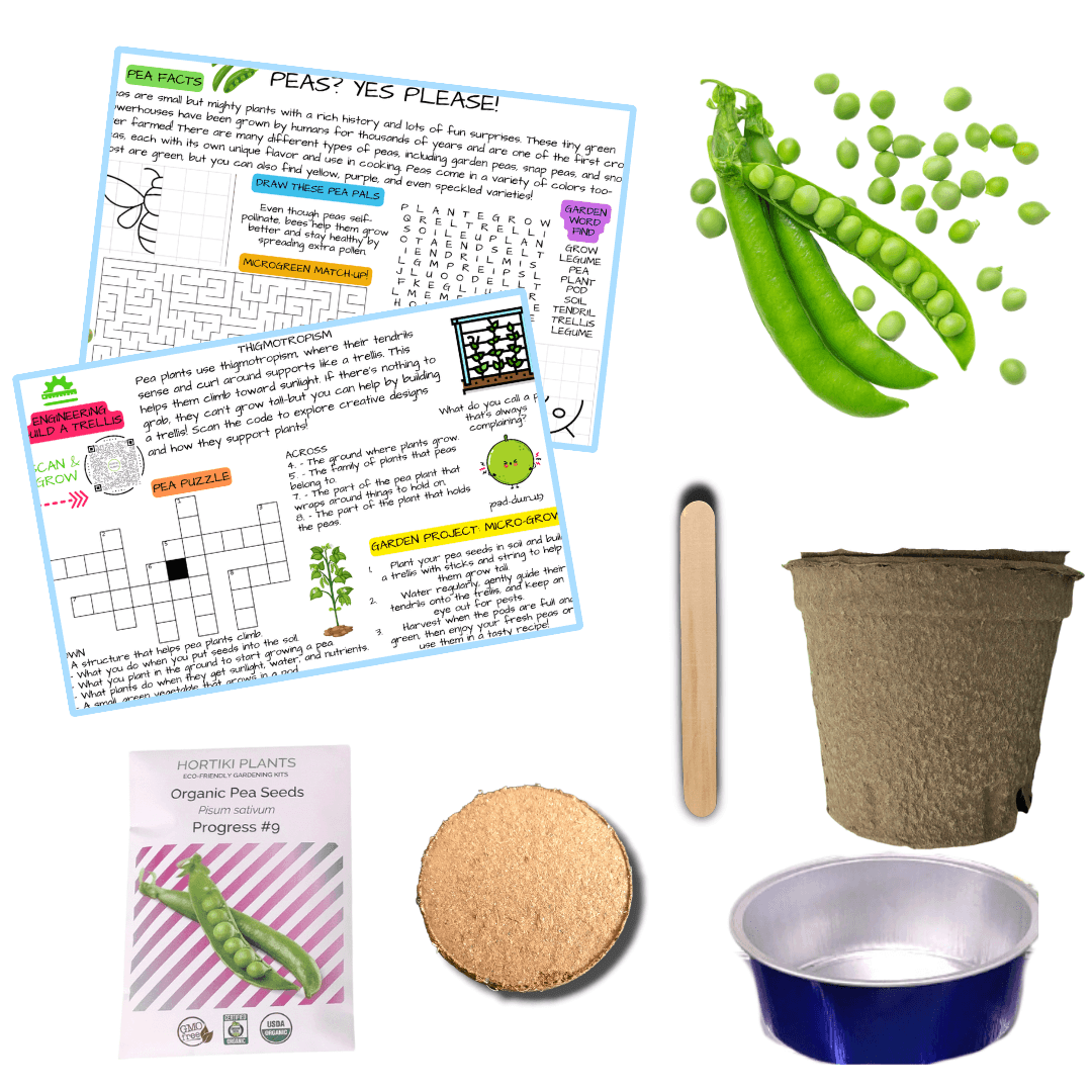 Peas Card + Grow Kit (Egineering - STEAM Series)