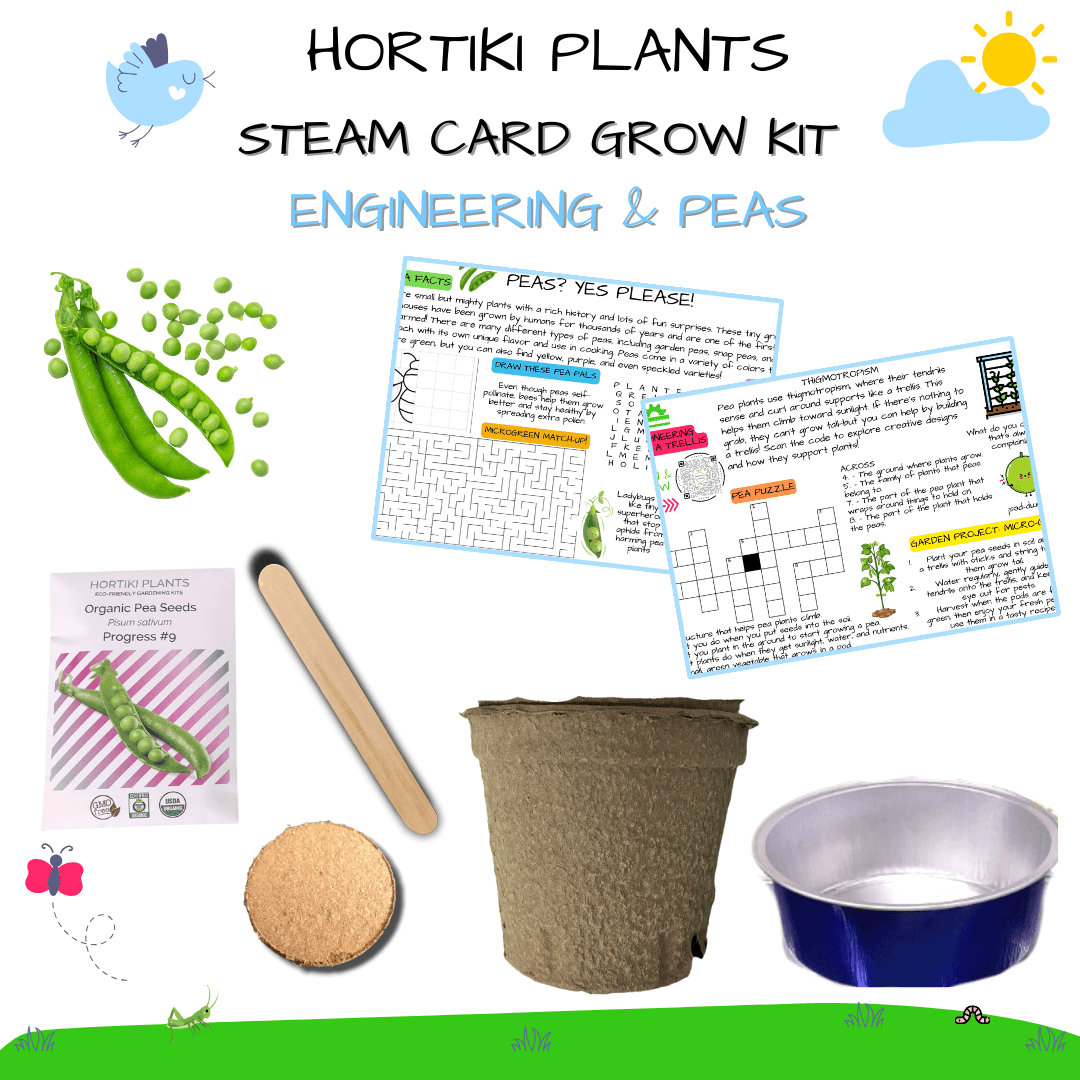 Peas Card + Grow Kit (Egineering - STEAM Series)
