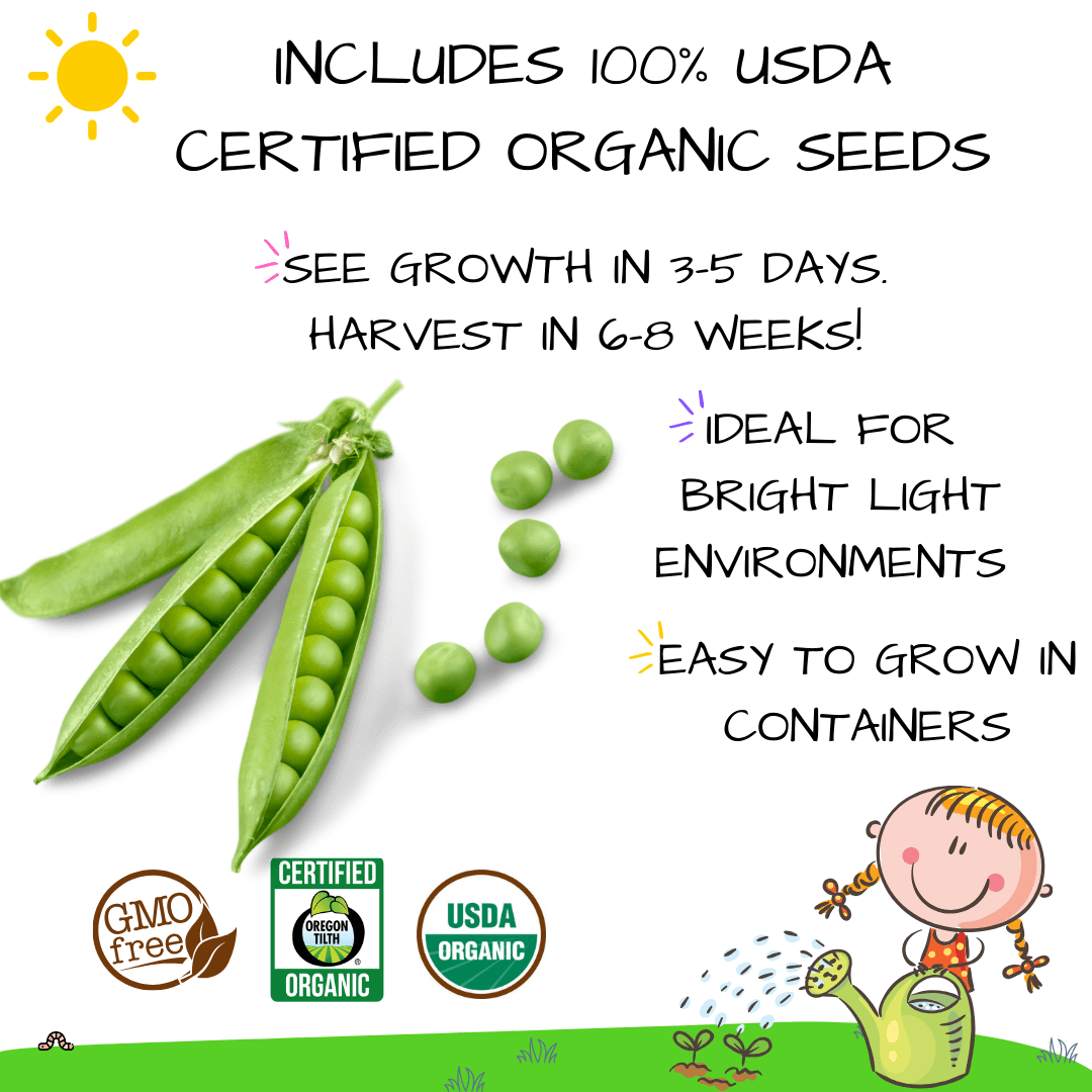 Peas Card + Grow Kit (Egineering - STEAM Series)