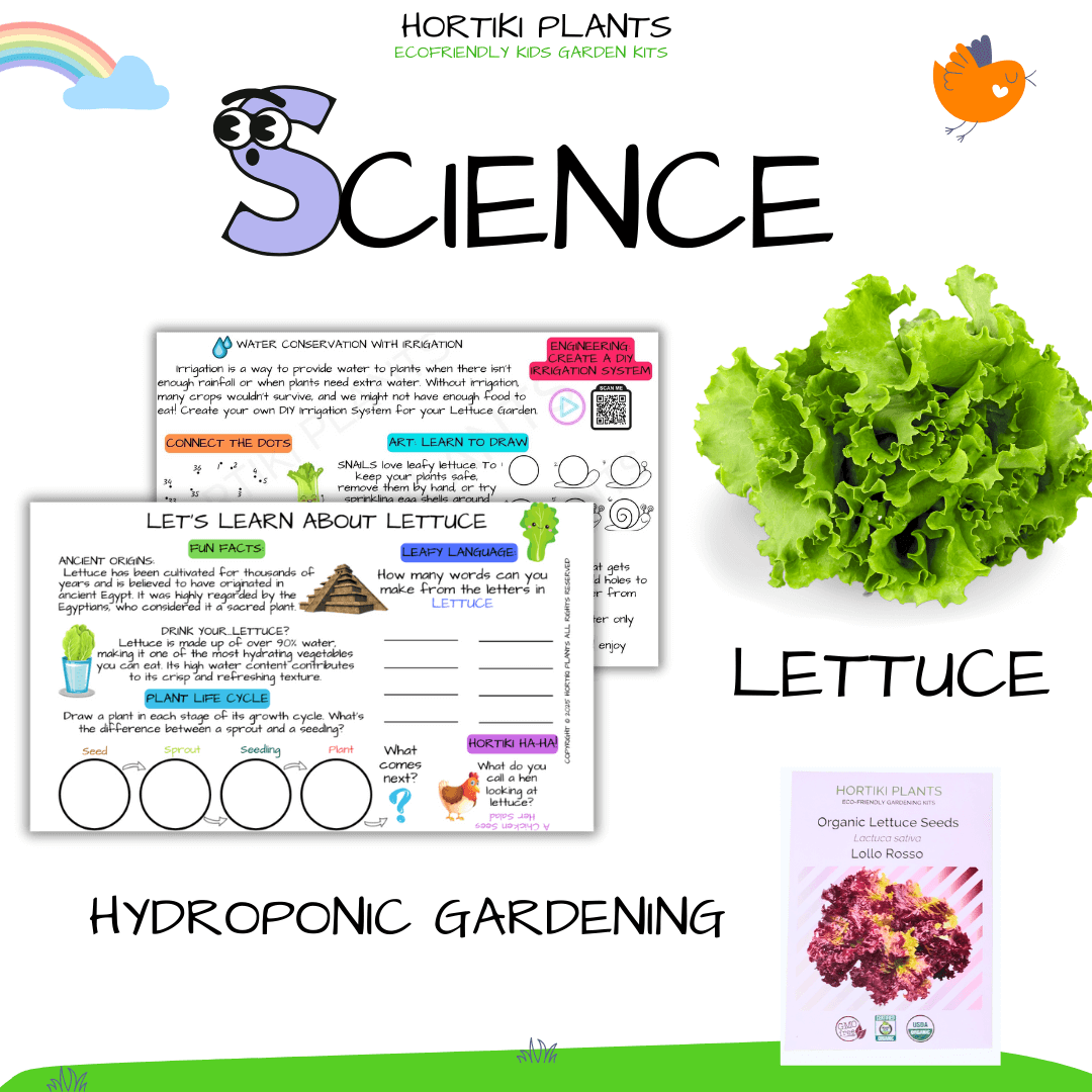 š„¬Kids Garden Lettuce STEAM Activity Seed Card