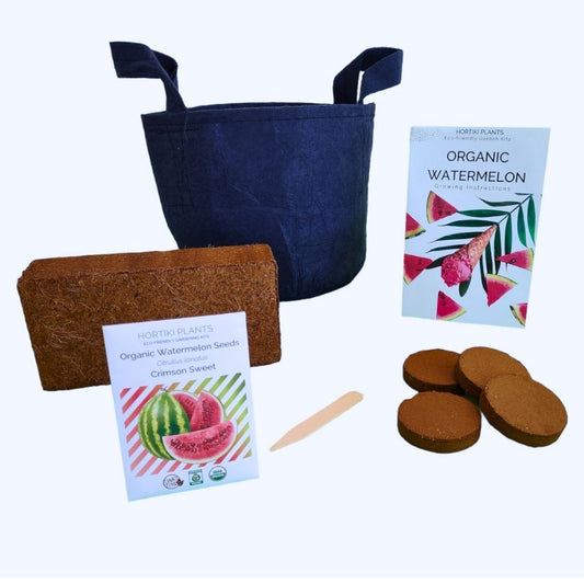 Organic Watermelon Container Garden Kit - Corporate Gift