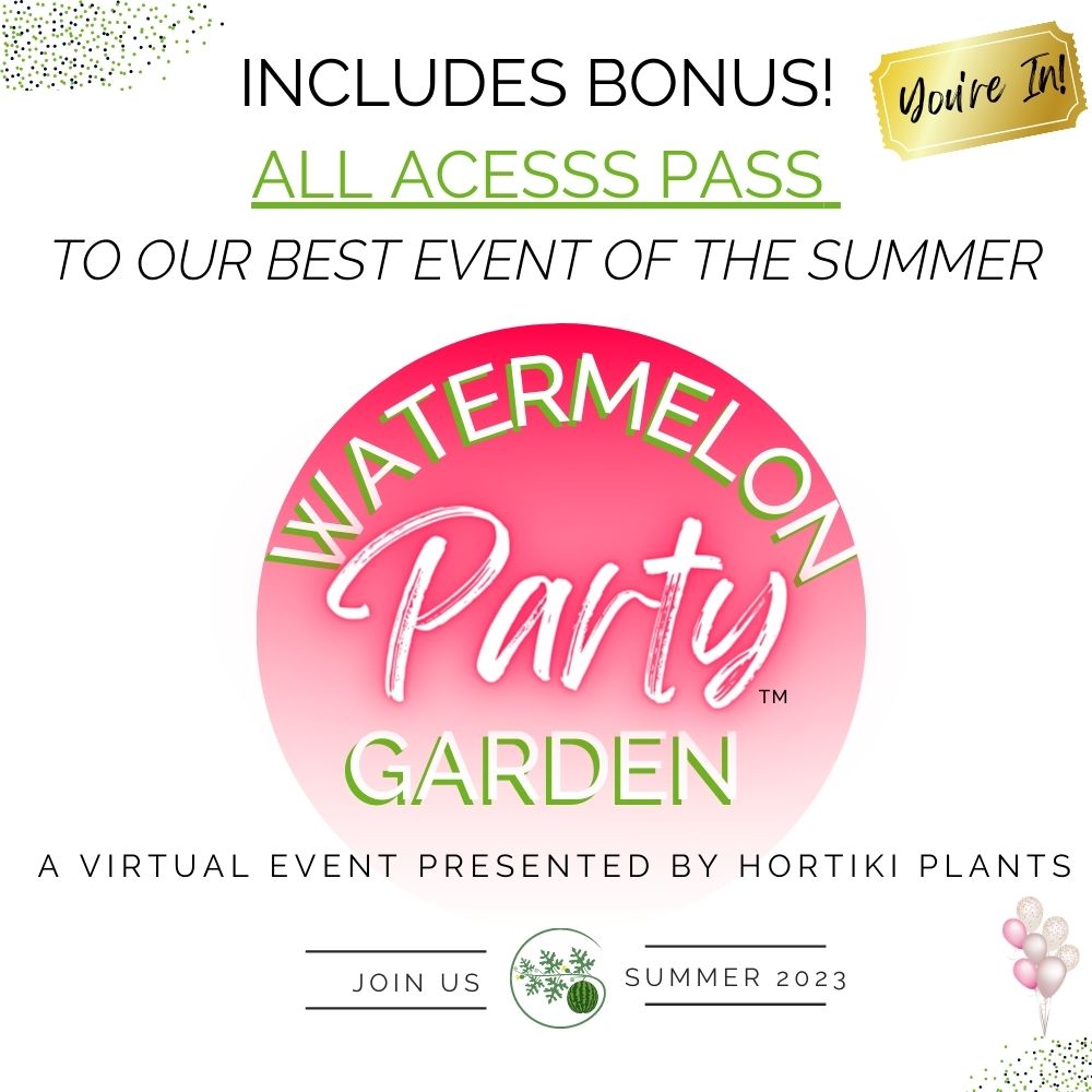 Organic Watermelon Container Garden Kit - Corporate Gift