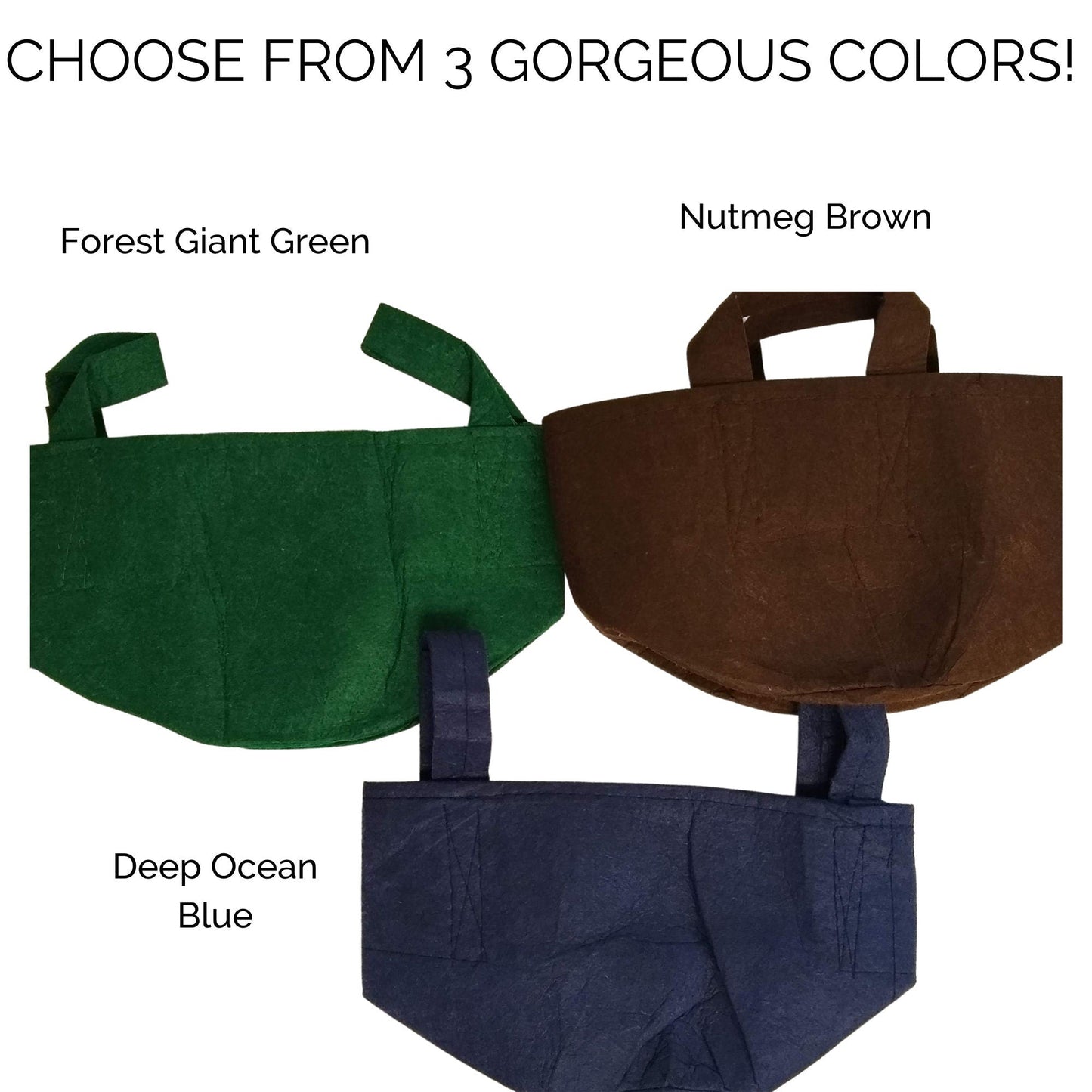 Organic Kale Container Garden Kit - Corporate Gift