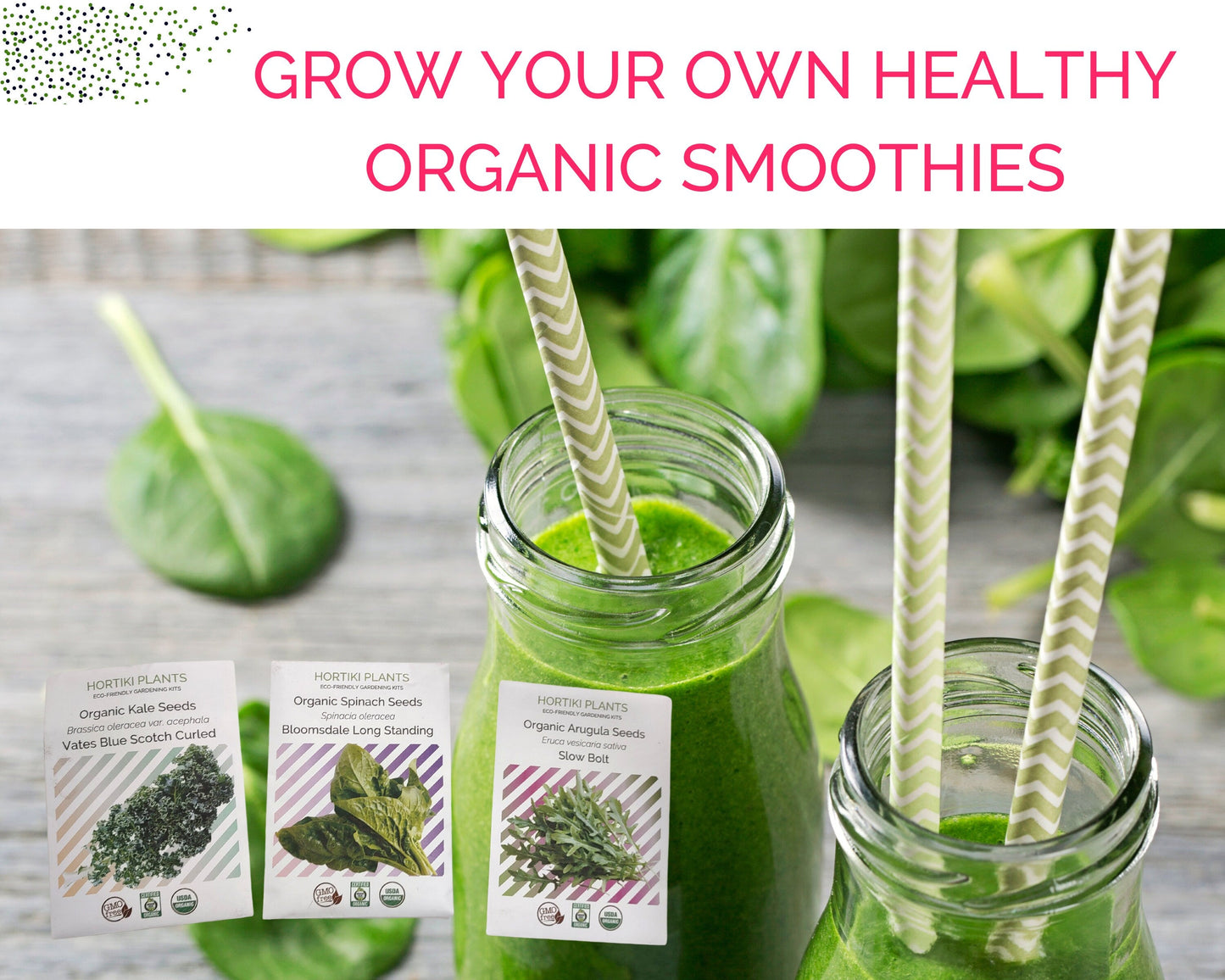 Green Smoothie Organic Garden Kit: Arugula, Spinach, Kale - Corporate Gift