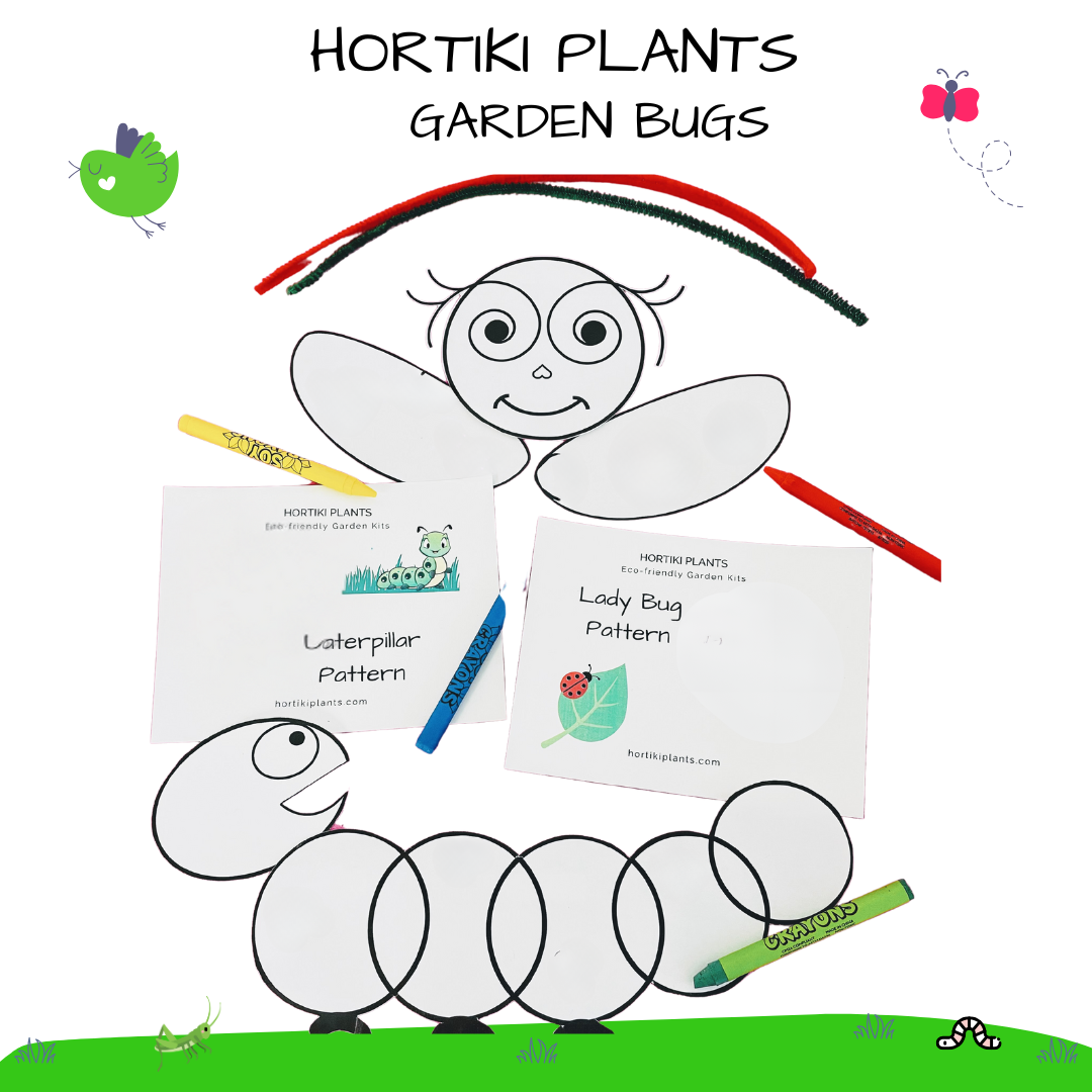 Garden Bugs Kids Craft Garden Kit