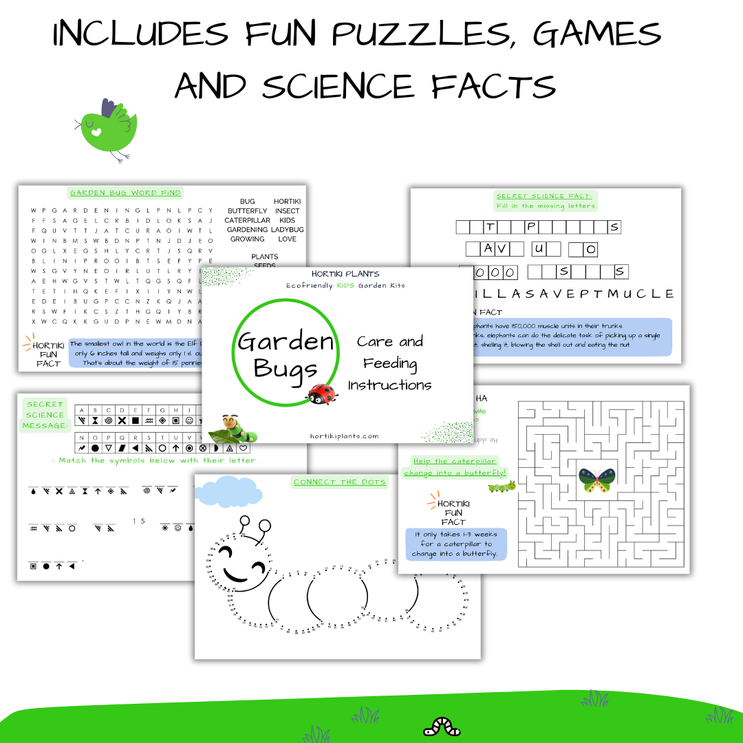Garden Bugs Kids Craft Garden Kit